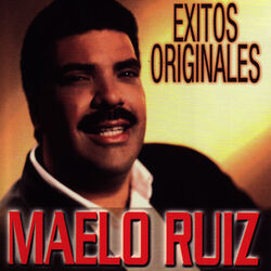 Cover of Exitos Originales