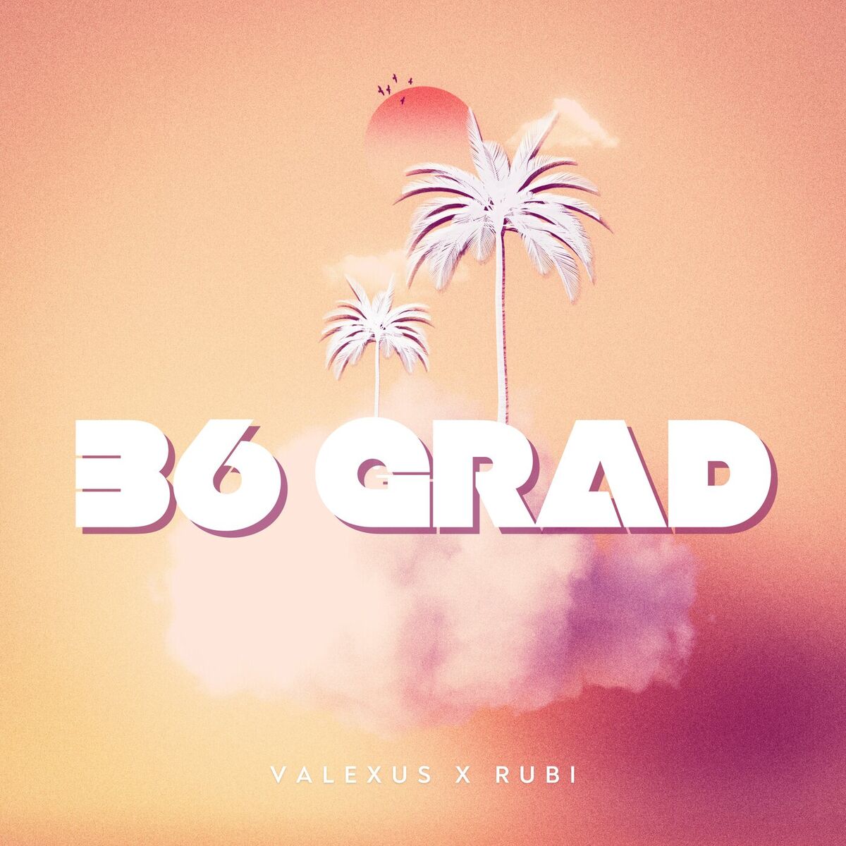 Album cover of 36 Grad