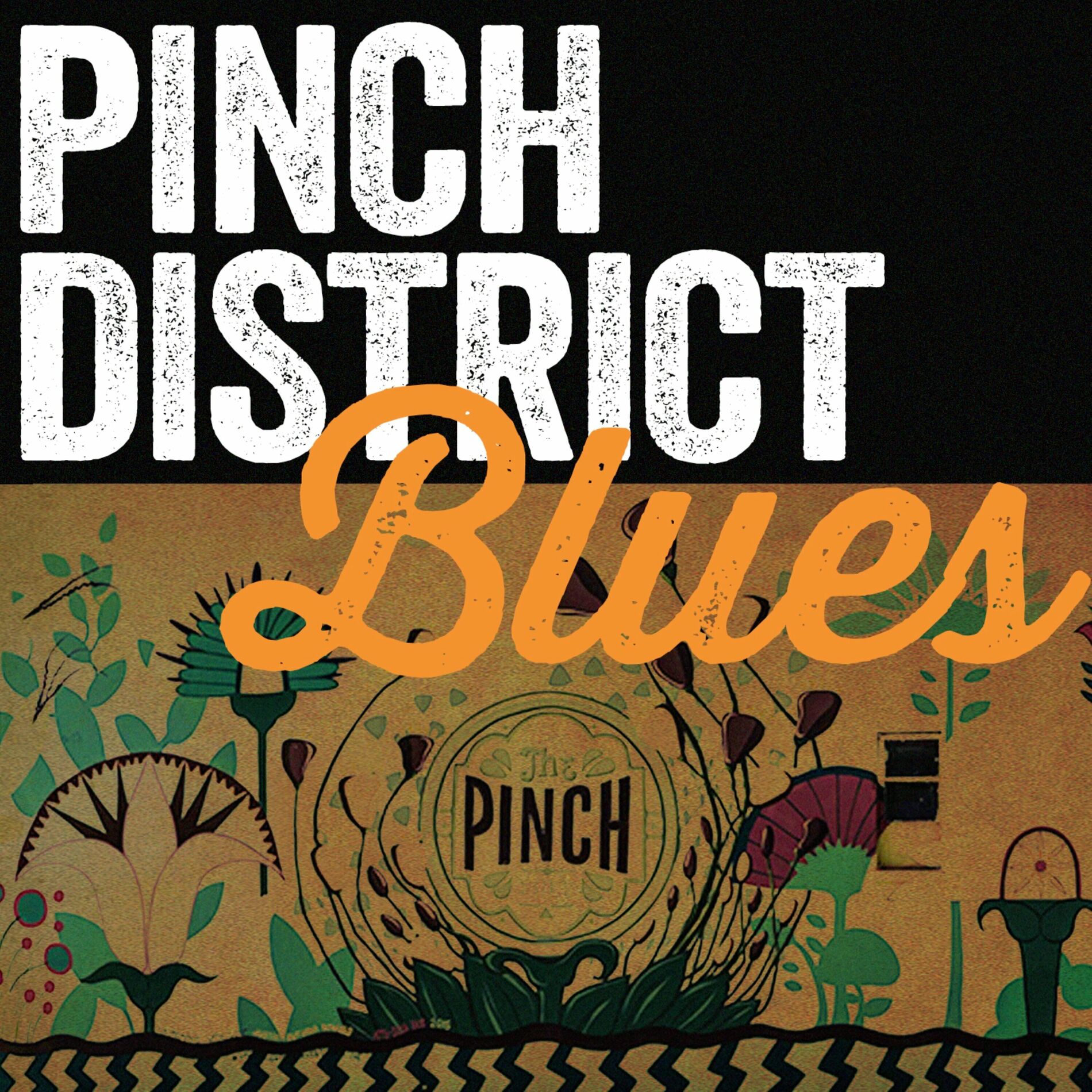 Album cover of Pinch District Blue