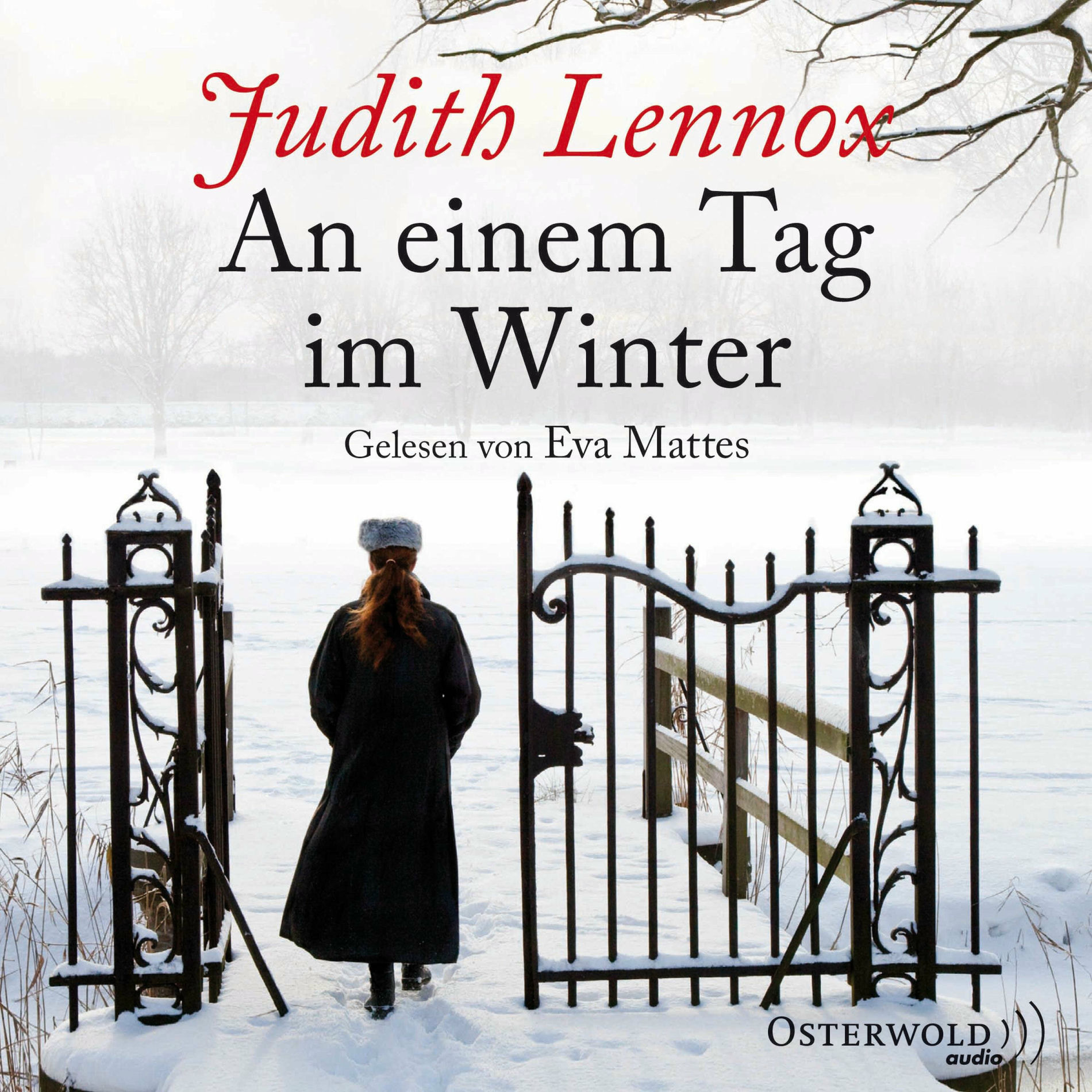 Album cover of An einem Tag im Winter