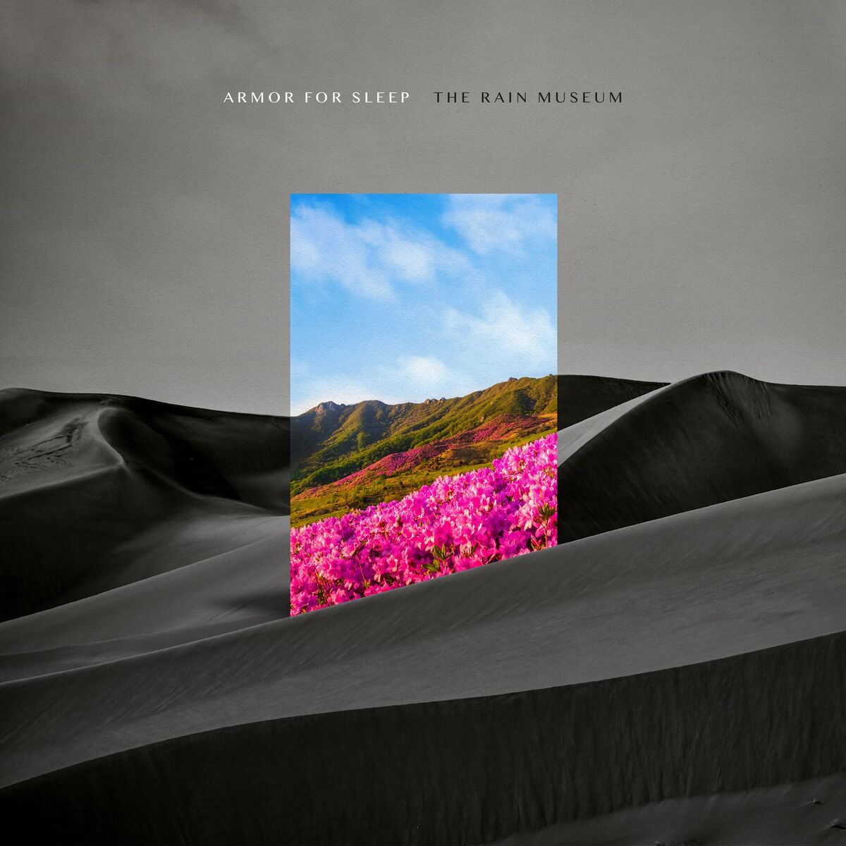 Album cover of The Rain Museum