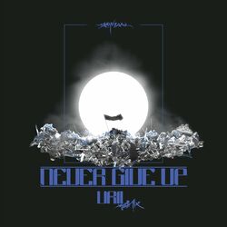 Cover of Never Give Up (Vril Remix)