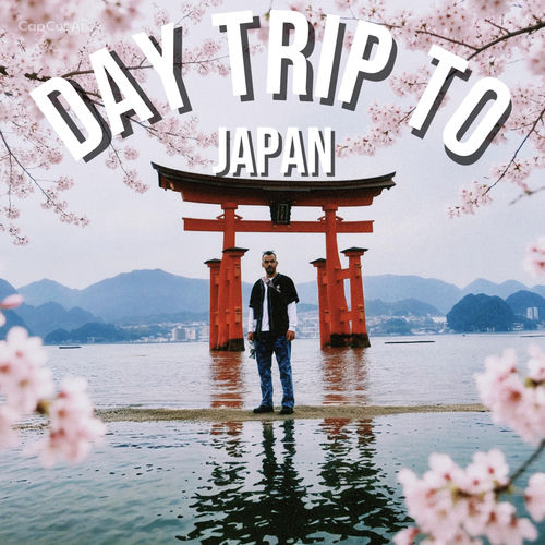 Day Trip To Japan