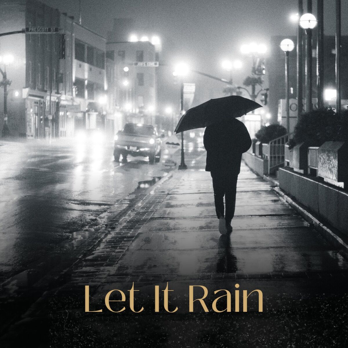 Album cover of Let It Rain