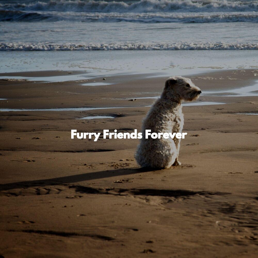Picture of Furry Friends Forever