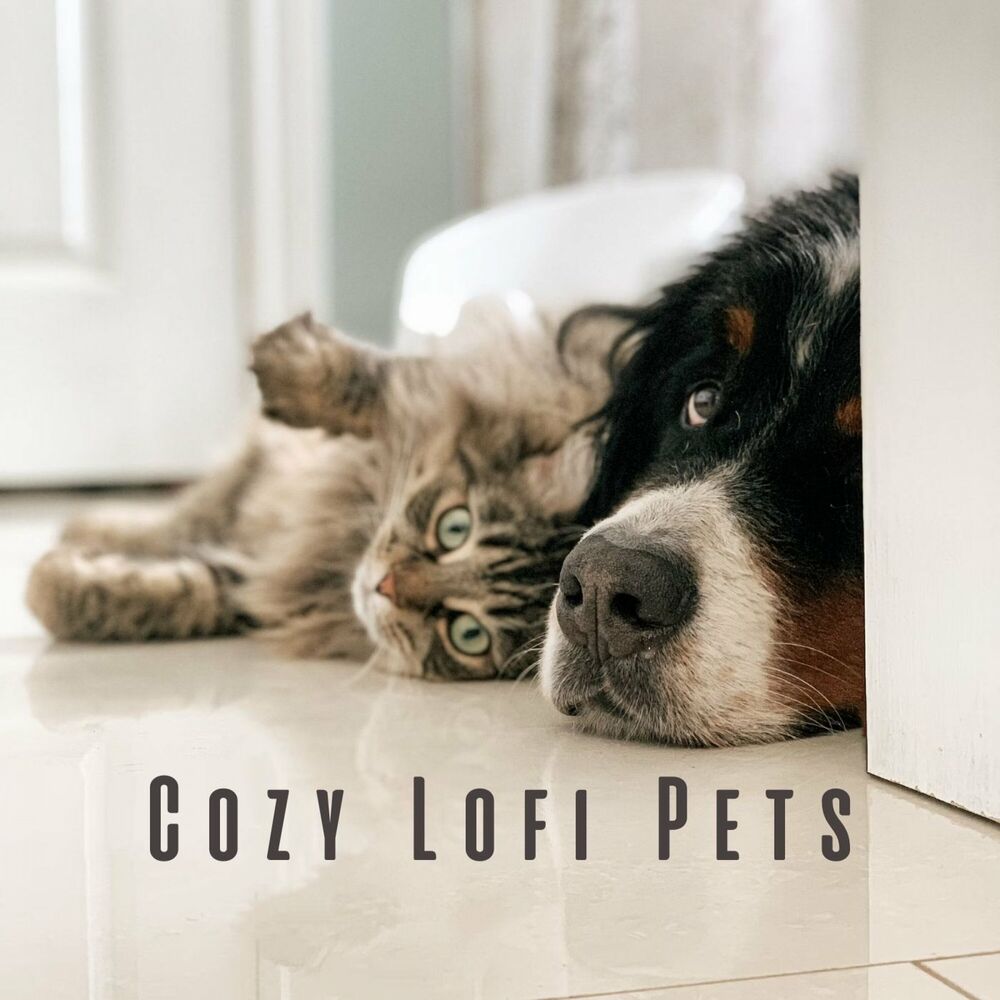 Picture of Cozy Lofi Pets: Mellow Calm Tracks