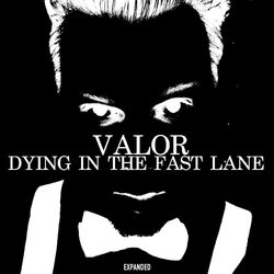 Cover of Dying in the Fast Lane (Expanded)
