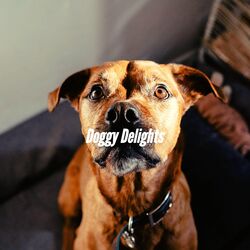 Cover of Doggy Delights