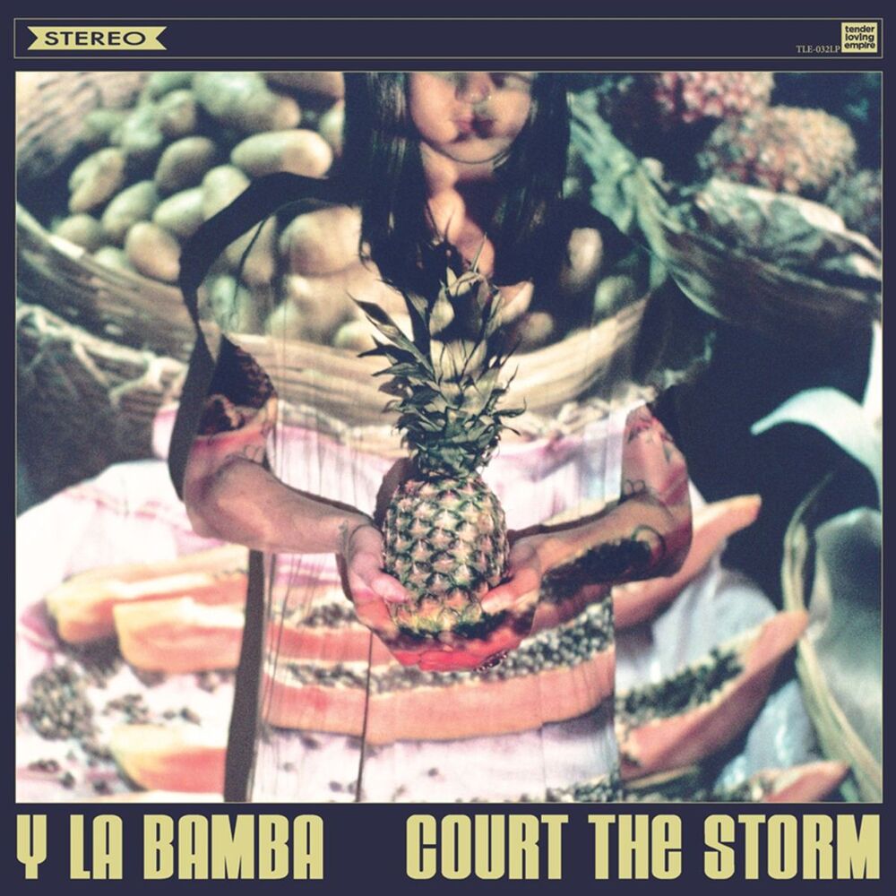 Picture of Court the Storm