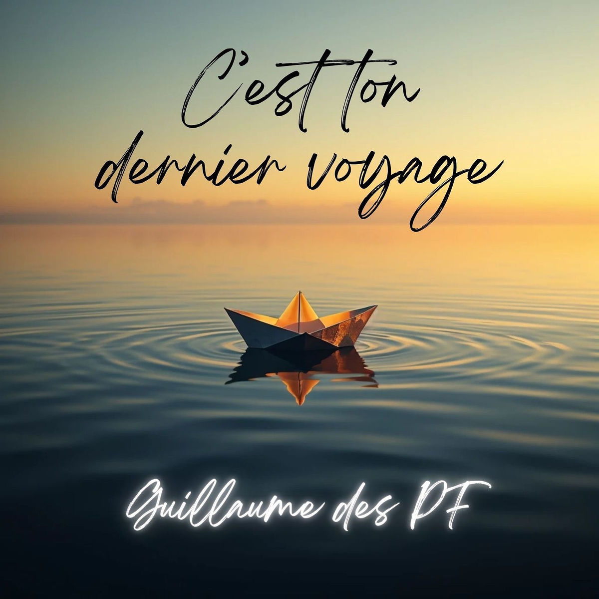 Album cover of C'est ton dernier voyage