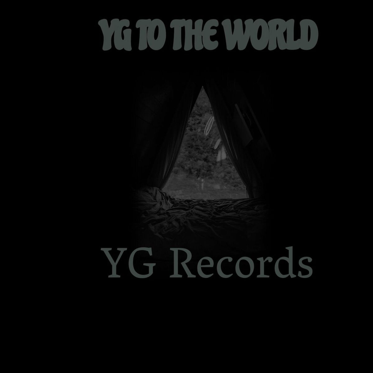Album cover of YG to the World