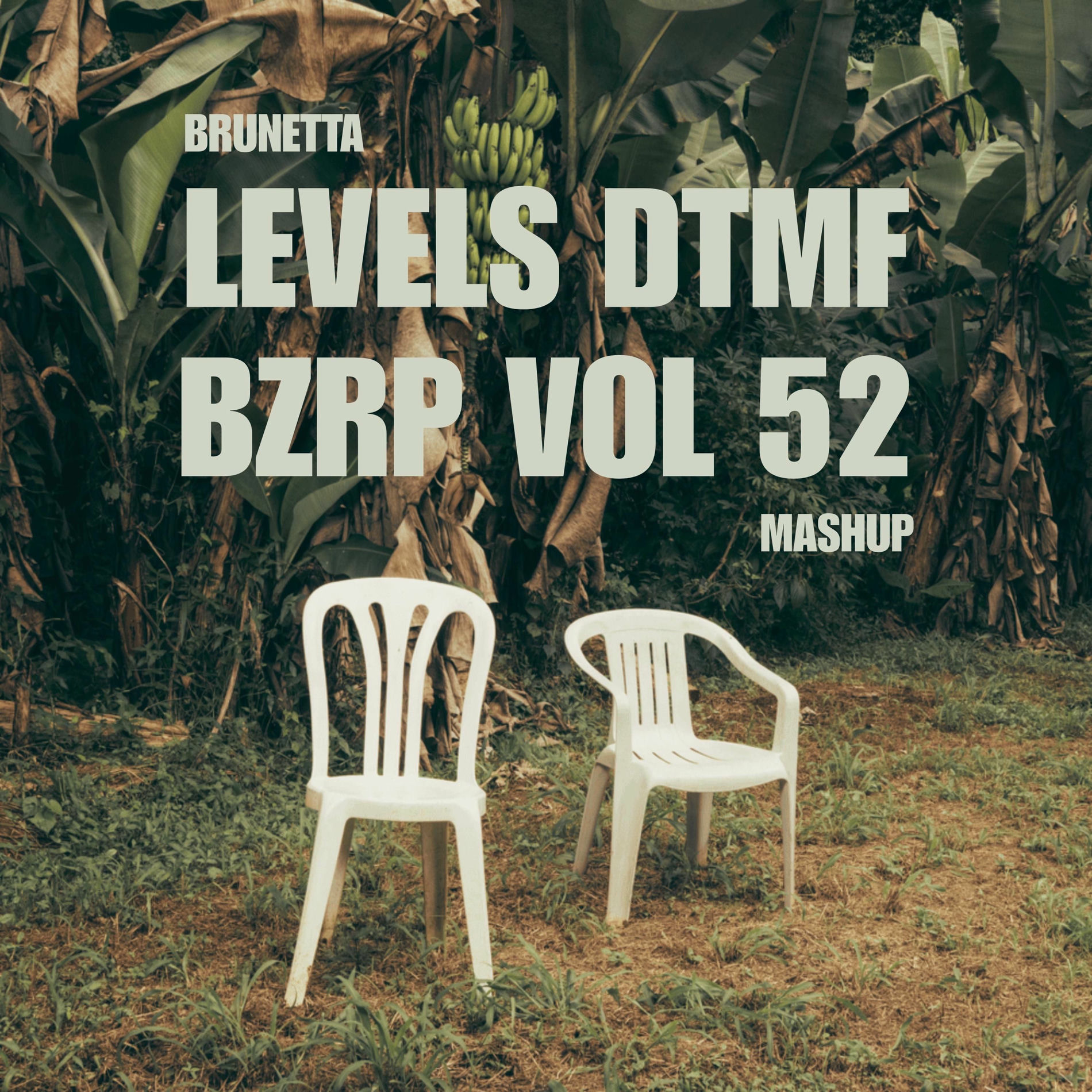 Album cover of Levels / DtMf / Bzrp vol 52