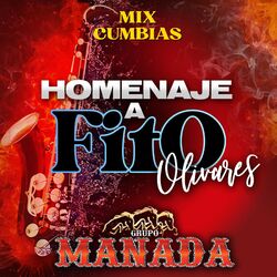 Cover of Homenaje a Fito Olivares (En Vivo)