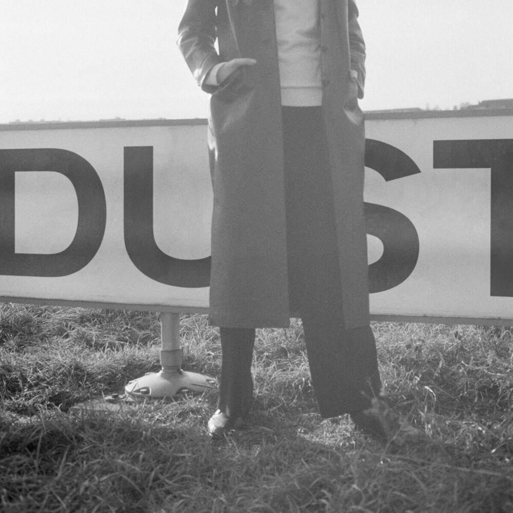 Picture of Dust