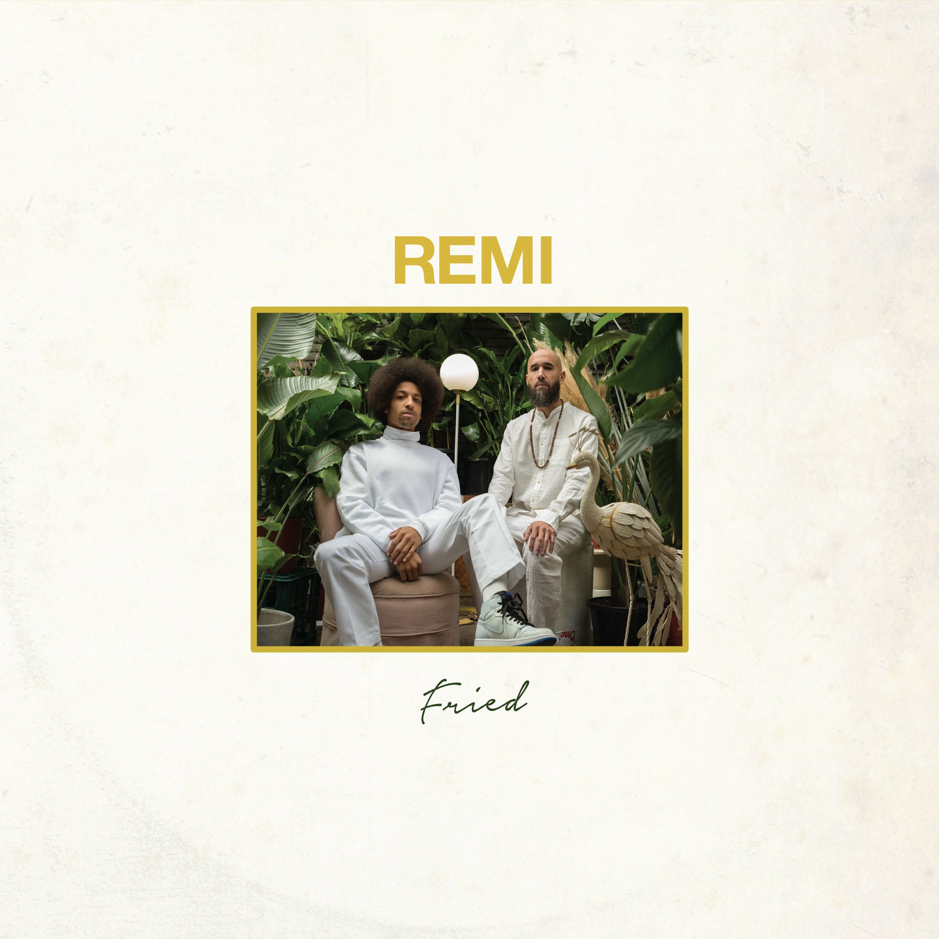 Album cover of Fried