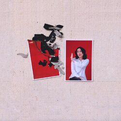 Cover of Dear Mr. Petty