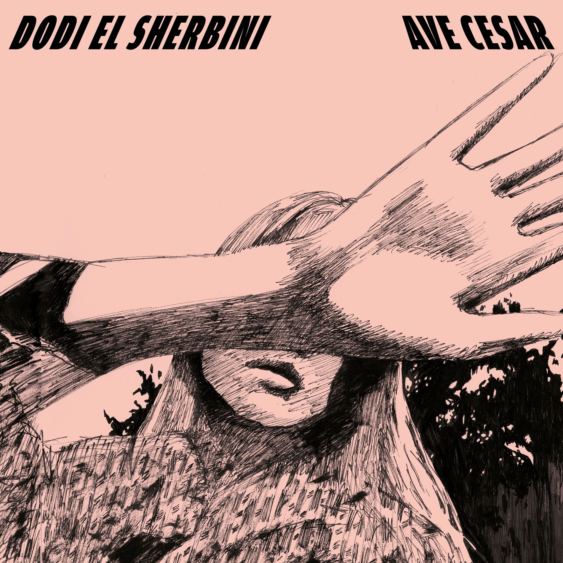 Album cover of Ave Cesar