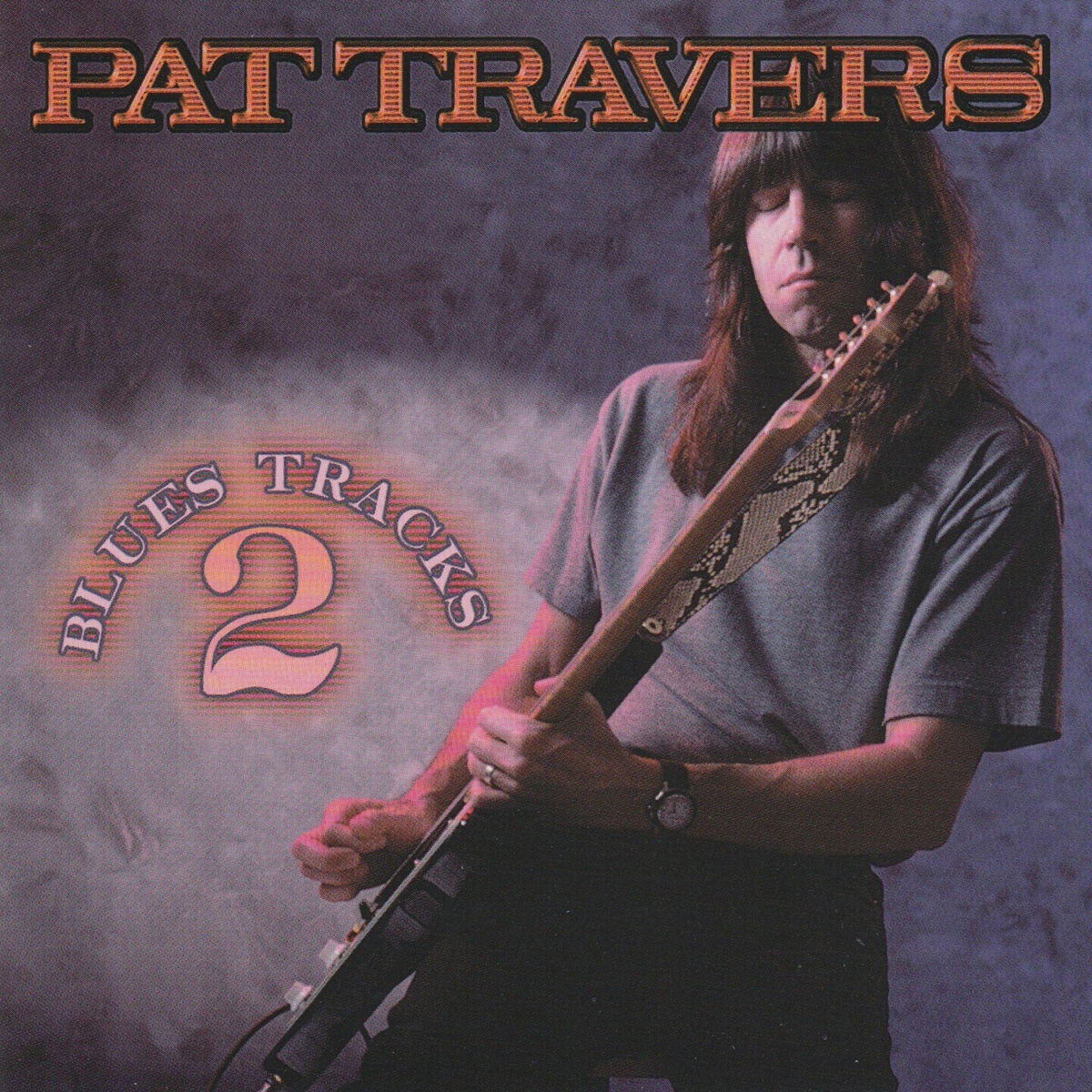 Album cover of Blues Tracks 2