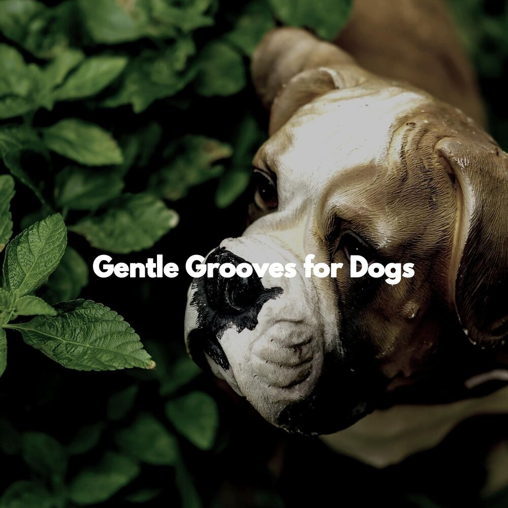 Picture of Gentle Grooves for Dogs