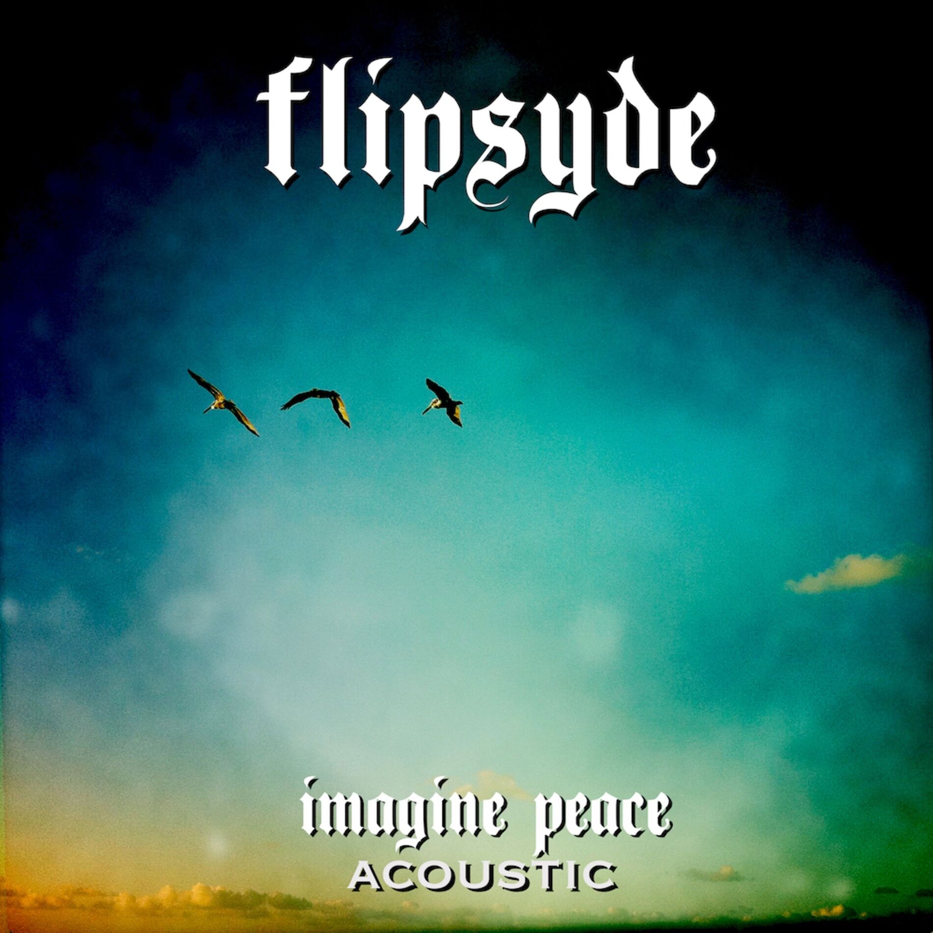 Album cover of Imagine Peace (Acoustic)