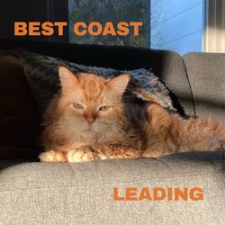 Cover of Leading