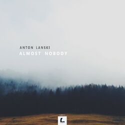 Cover of Almost Nobody