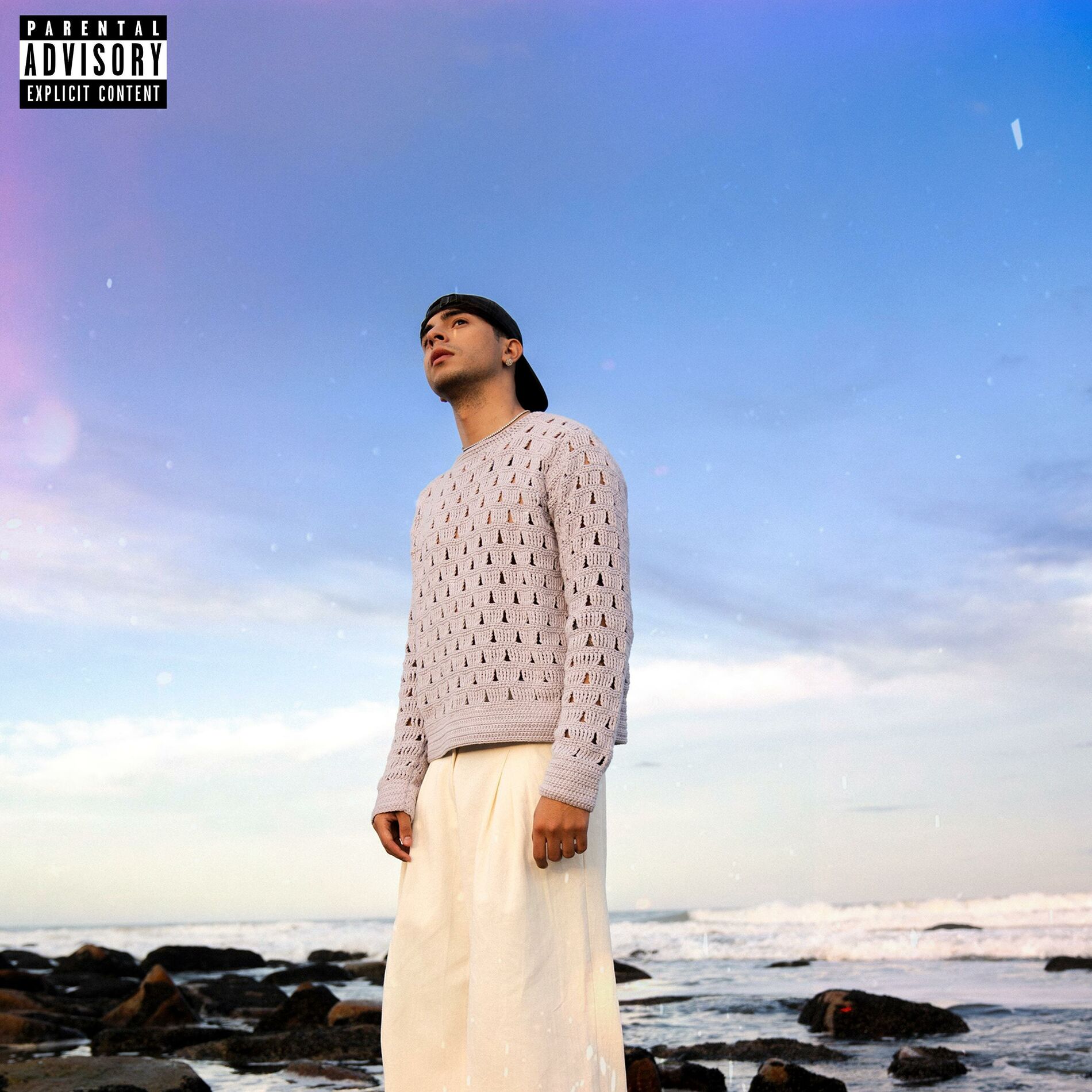 Album cover of Amor Anormal (feat. Flores)