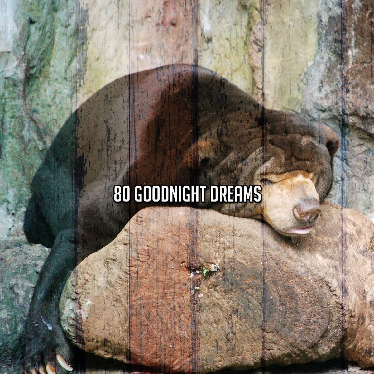 Album cover of 80 Goodnight Dreams