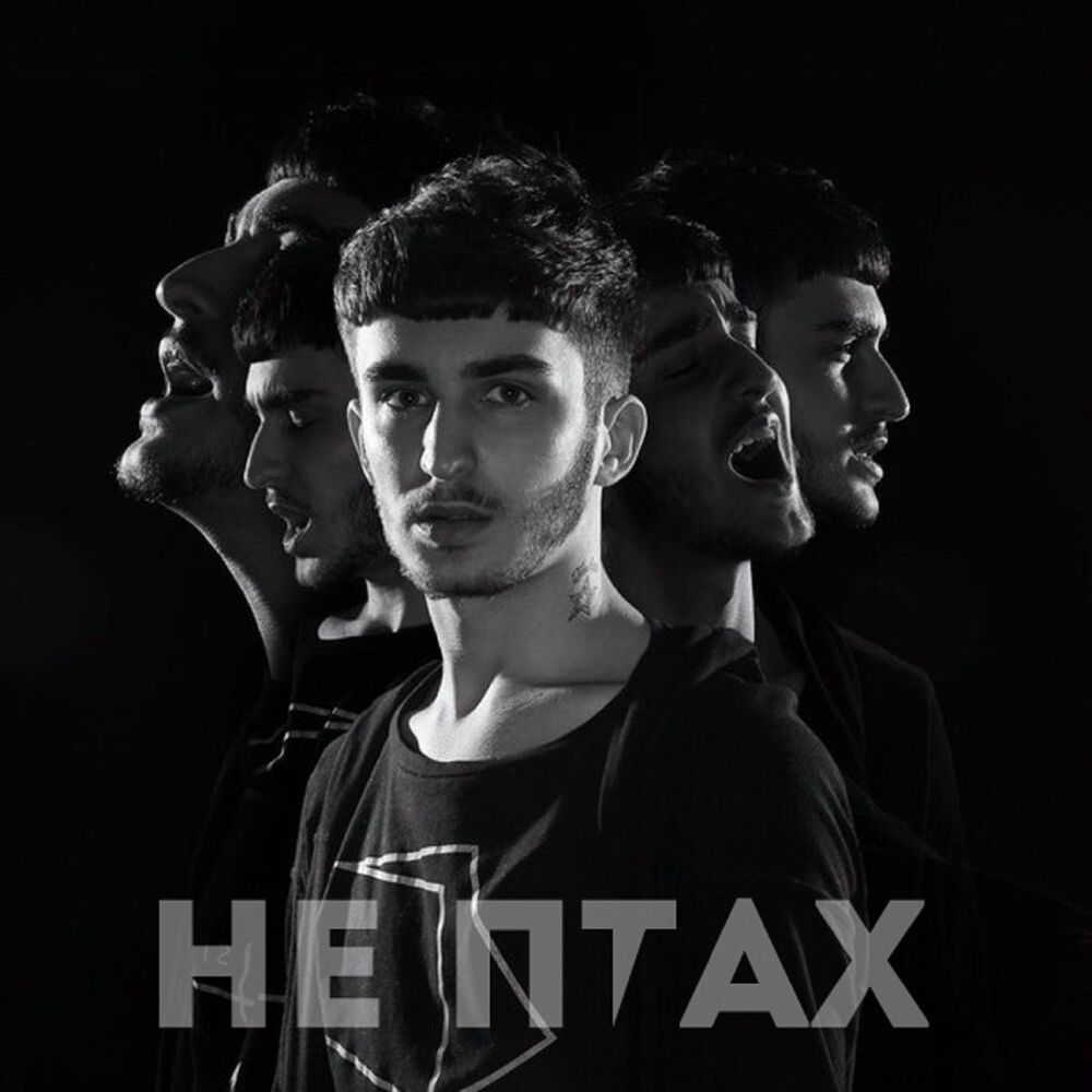 Picture of Не птах