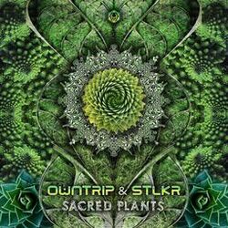 Cover of Sacred Plants