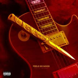 Cover of Feels So Good