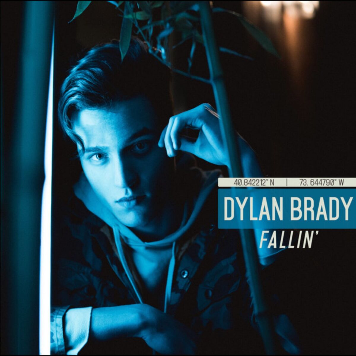Album cover of Fallin'
