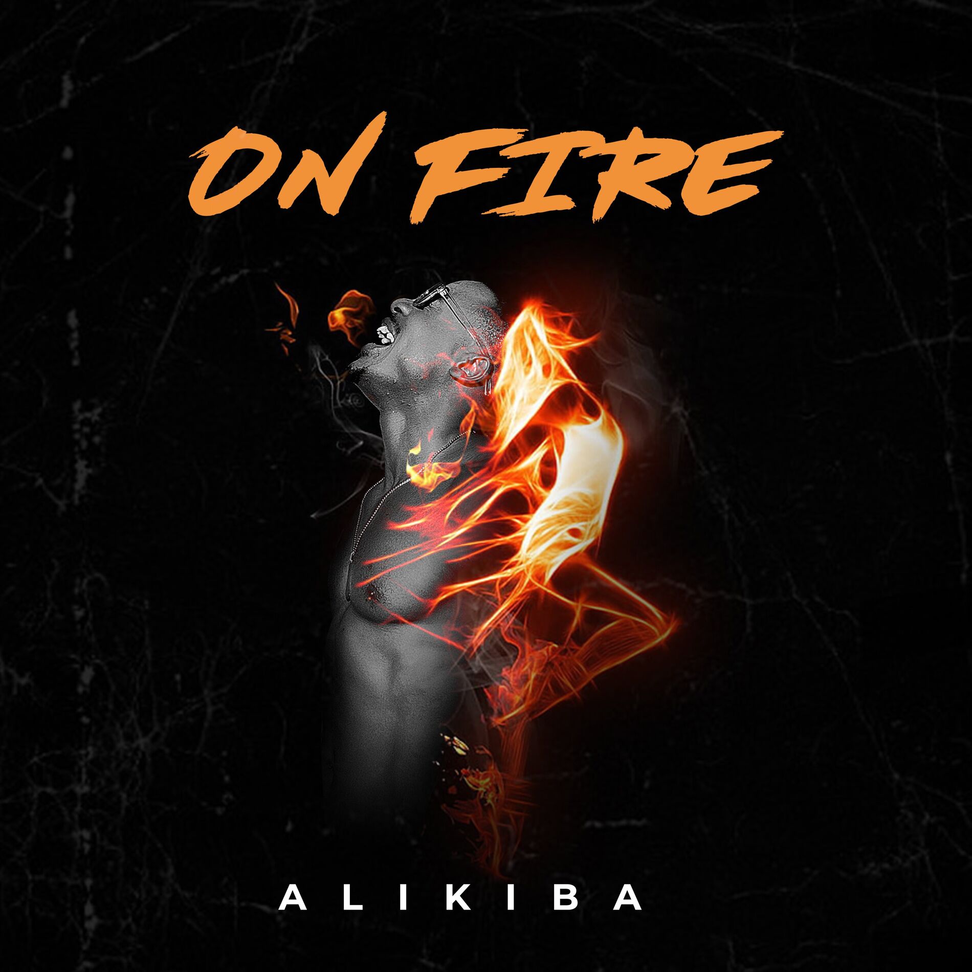 Album cover of On Fire