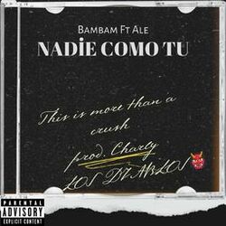 Cover of Nadie como tu (feat. AAALE)