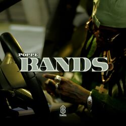 Cover of Bands