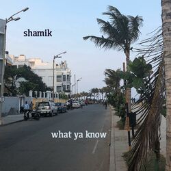 Cover of What Ya Know