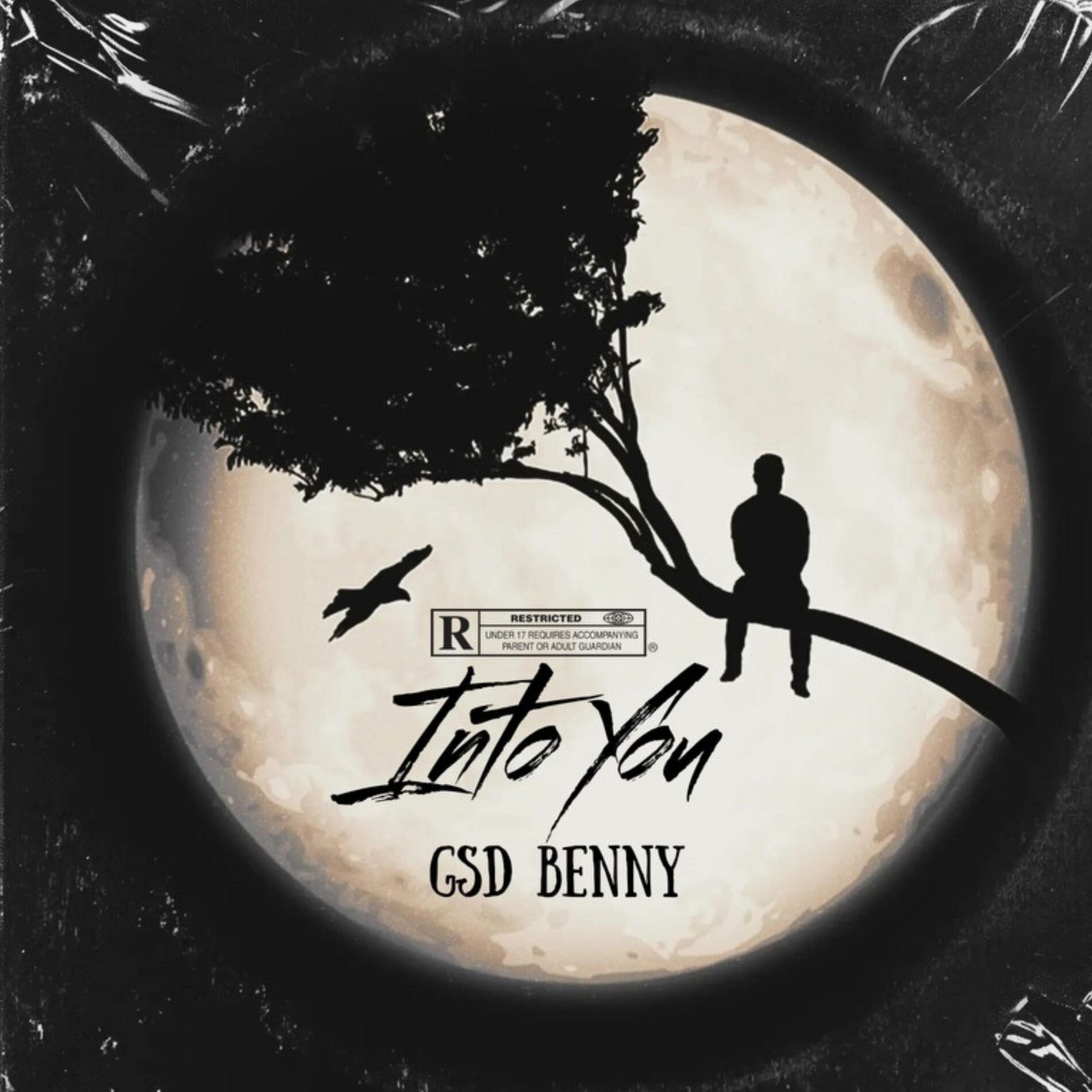 Album cover of Into you (feat. Flipz, Switch, Bmxllz, Trigga & Tappa)