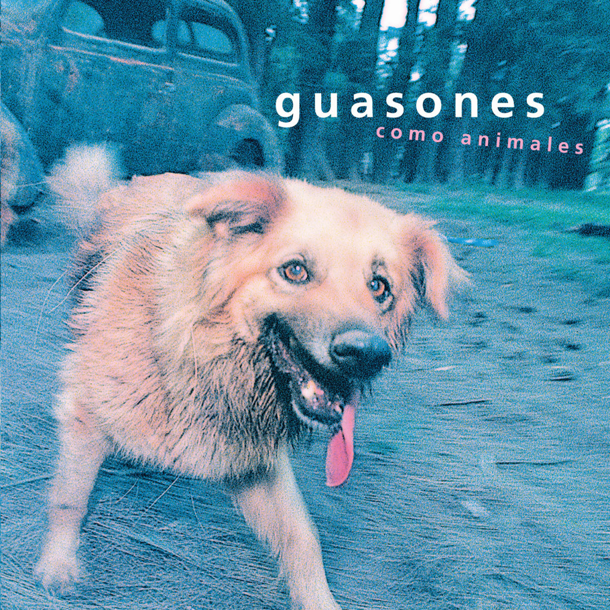 Album cover of Sueños Son