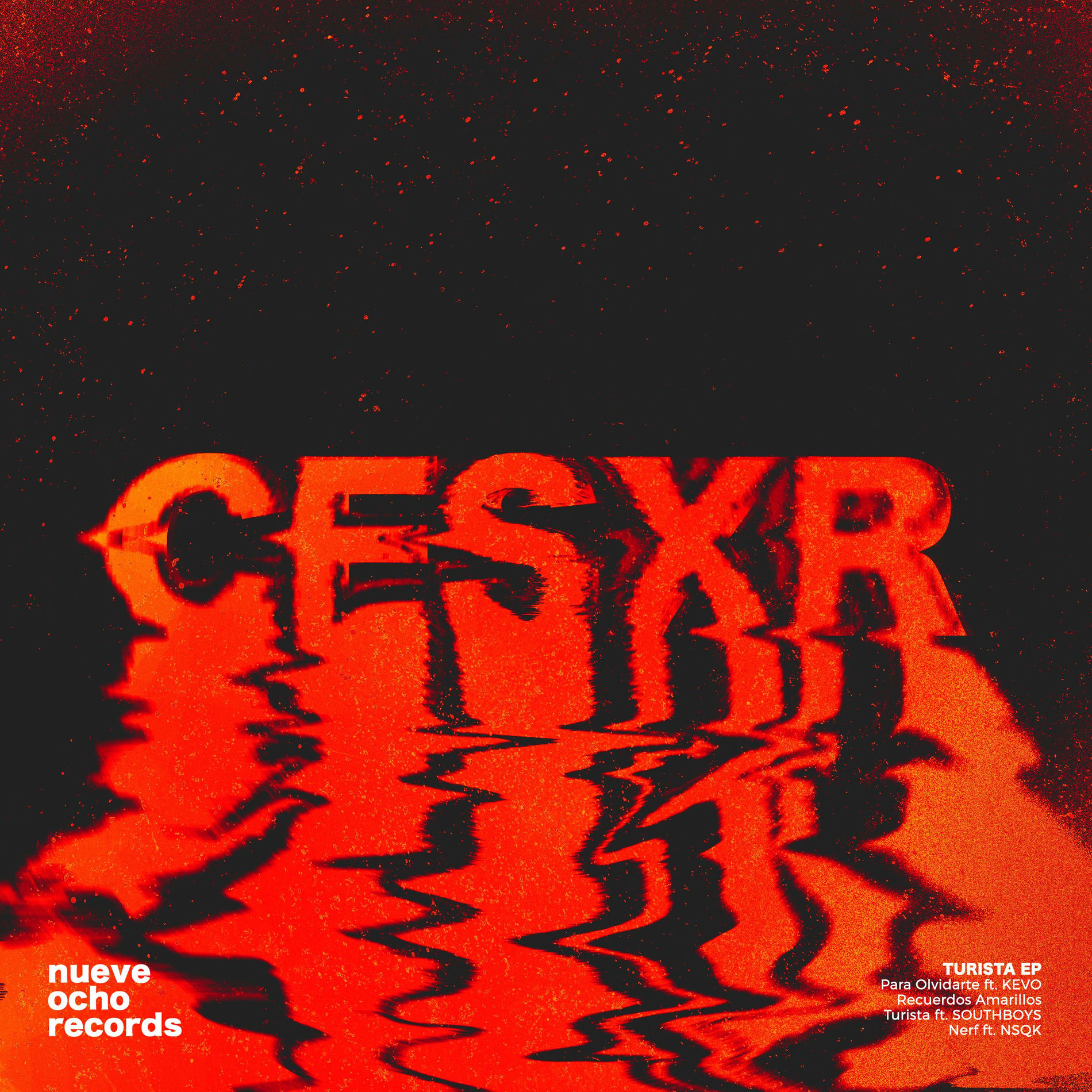 Album cover of Turista