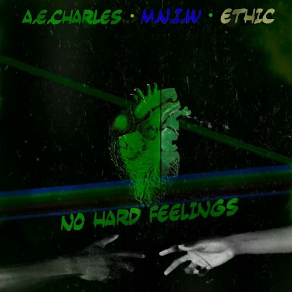 Picture of No Hard Feelings (The Remixes)