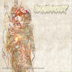 Cover of Flourishing Extremities on Unspoiled Mental Grounds