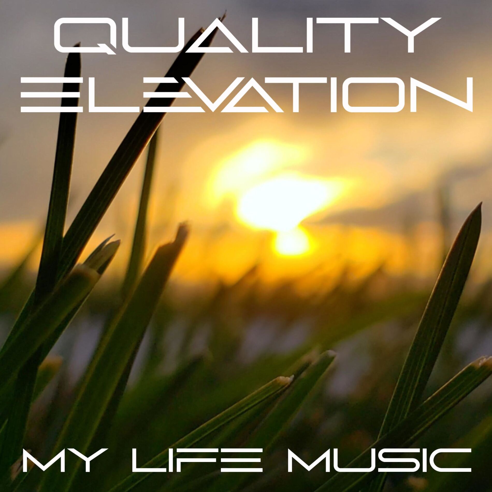 Album cover of Quality Elevation