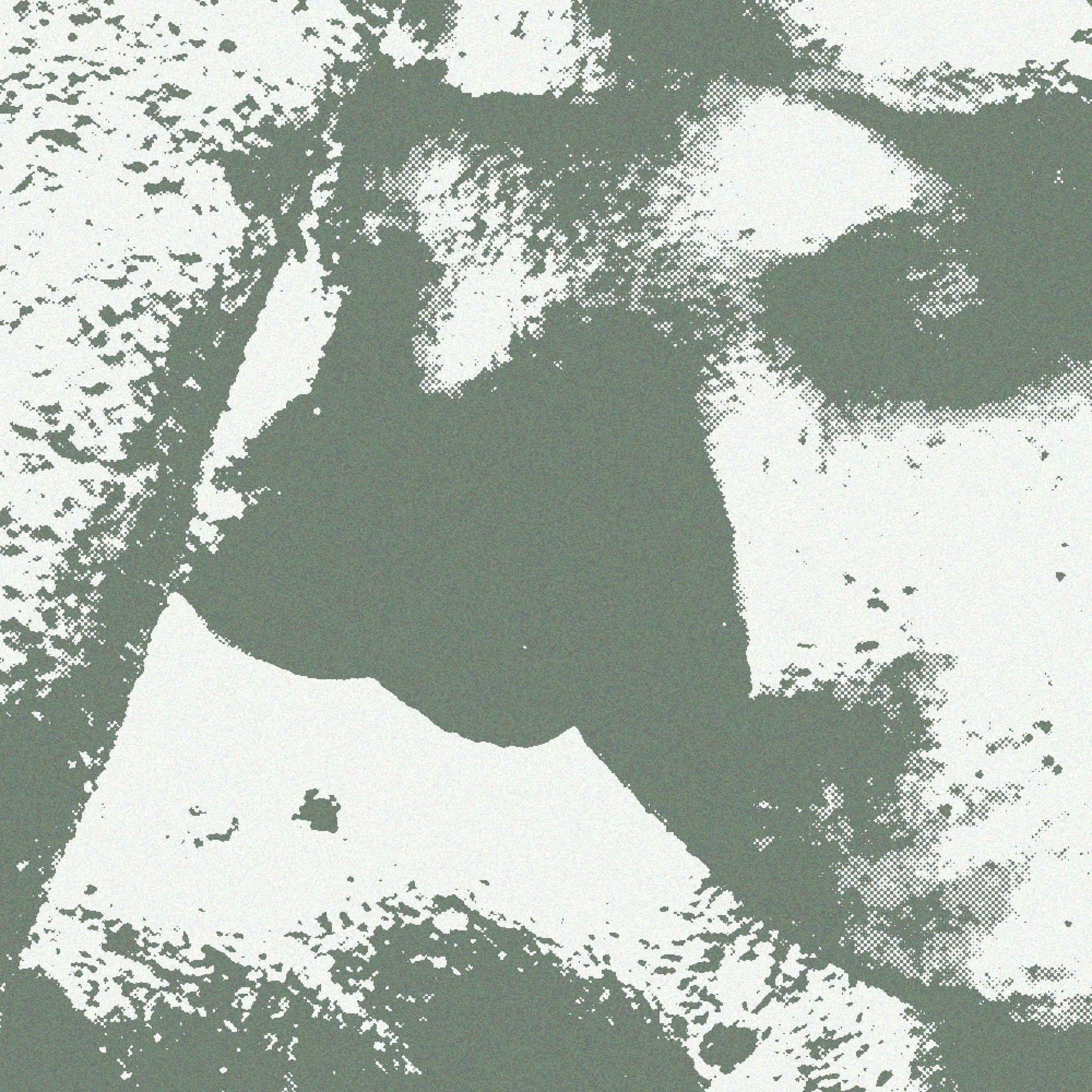 Album cover of Spirit of Ecstasy