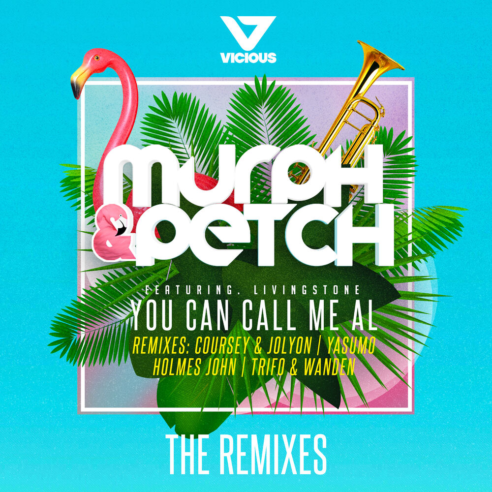 Picture of You Can Call Me Al [REMIXES]
