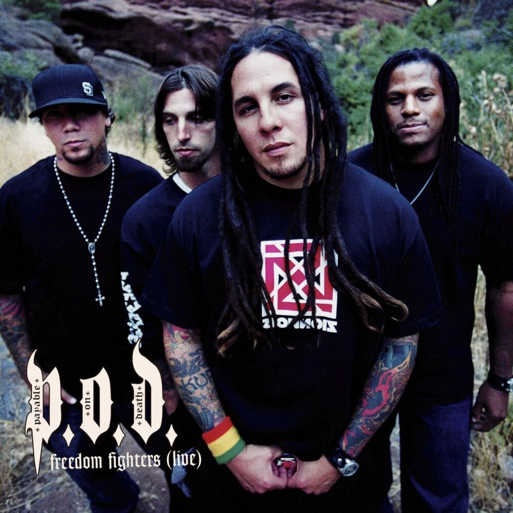 Picture of Freedom Fighters (Online Music)
