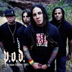 Cover of Freedom Fighters (Online Music)