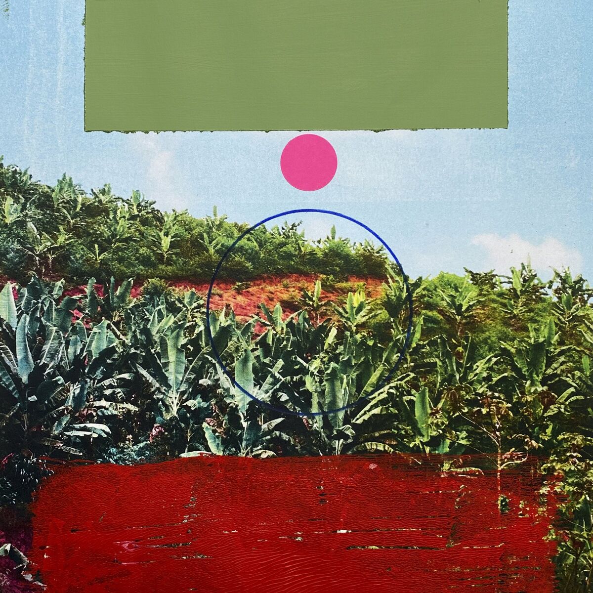 Album cover of Plátano Maduro