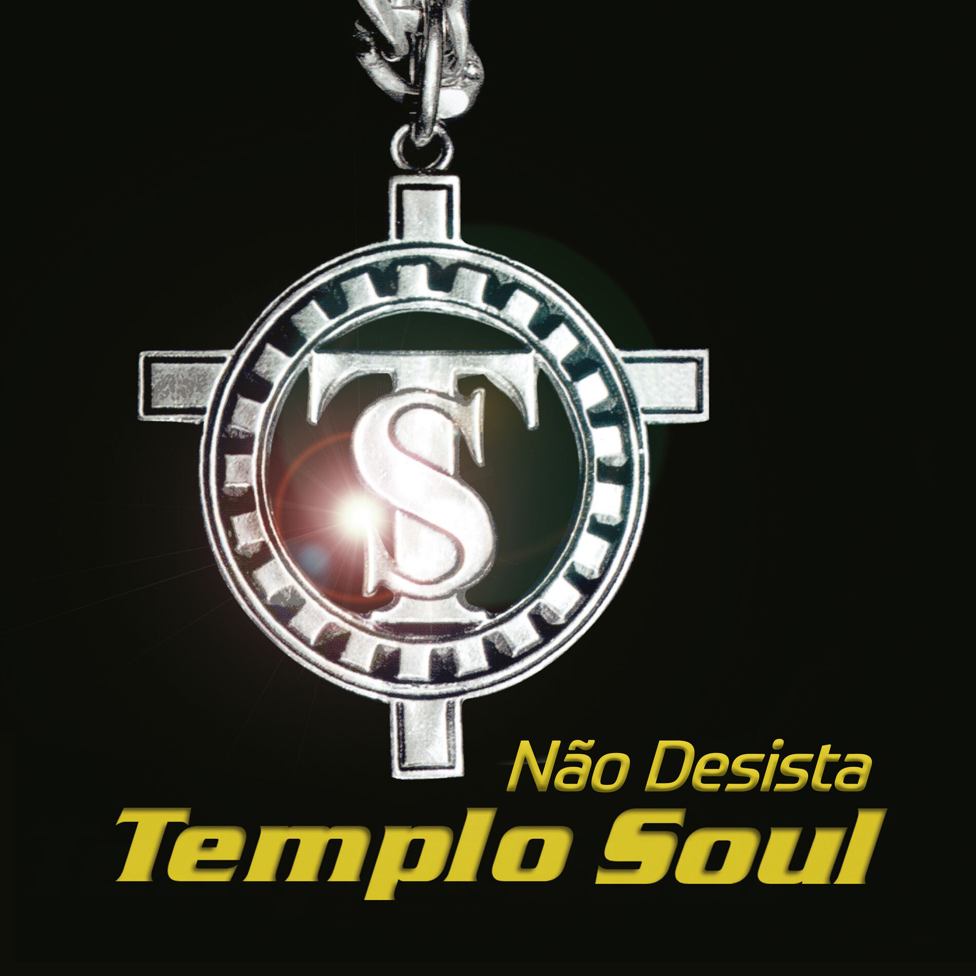 Album cover of Não Desista
