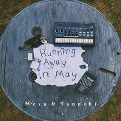 Cover of Running Away in May