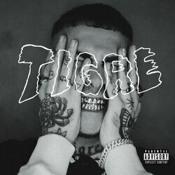 Cover of Tigre